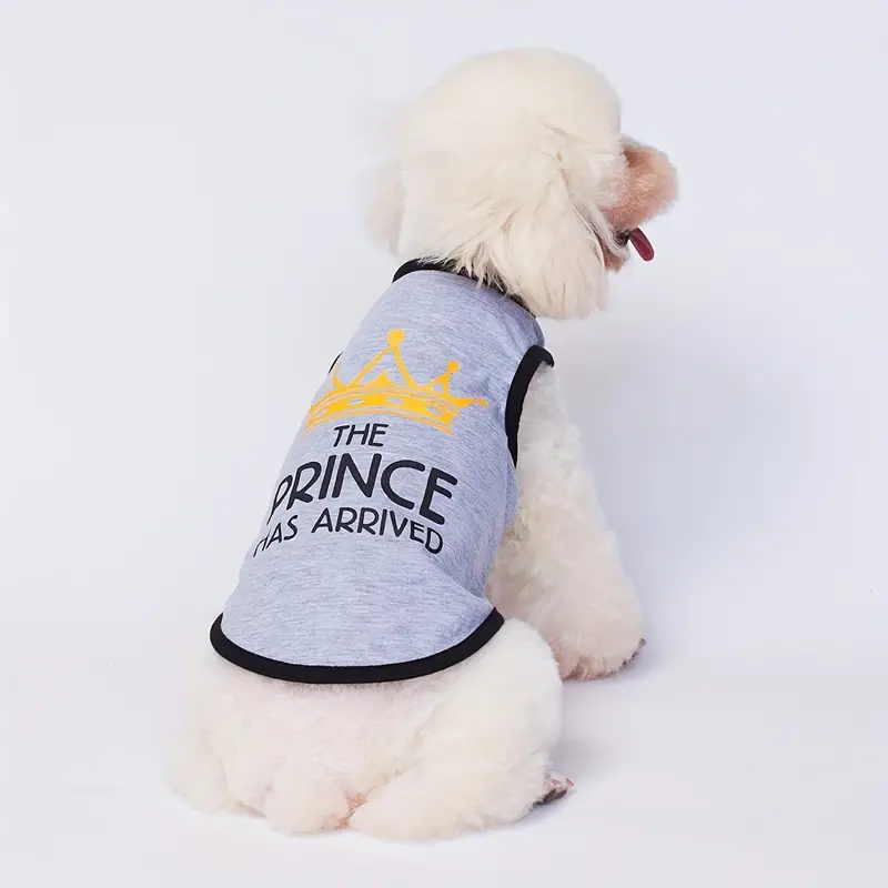 "The Prince Has Arrived" T-Shirt