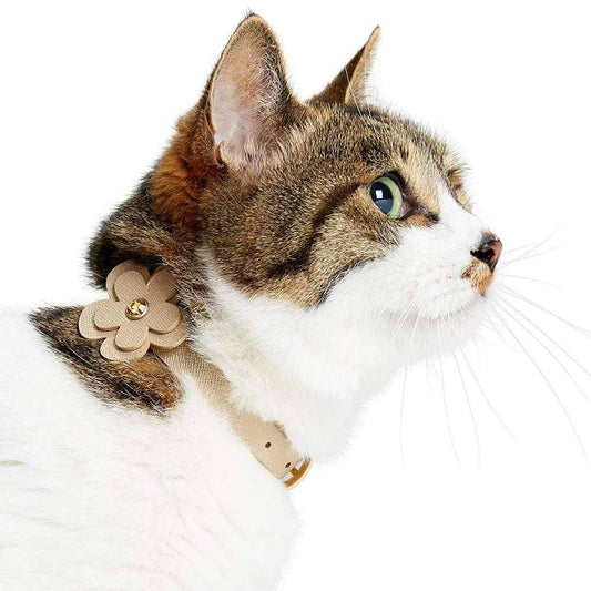 Gold Leather Cat Collar
