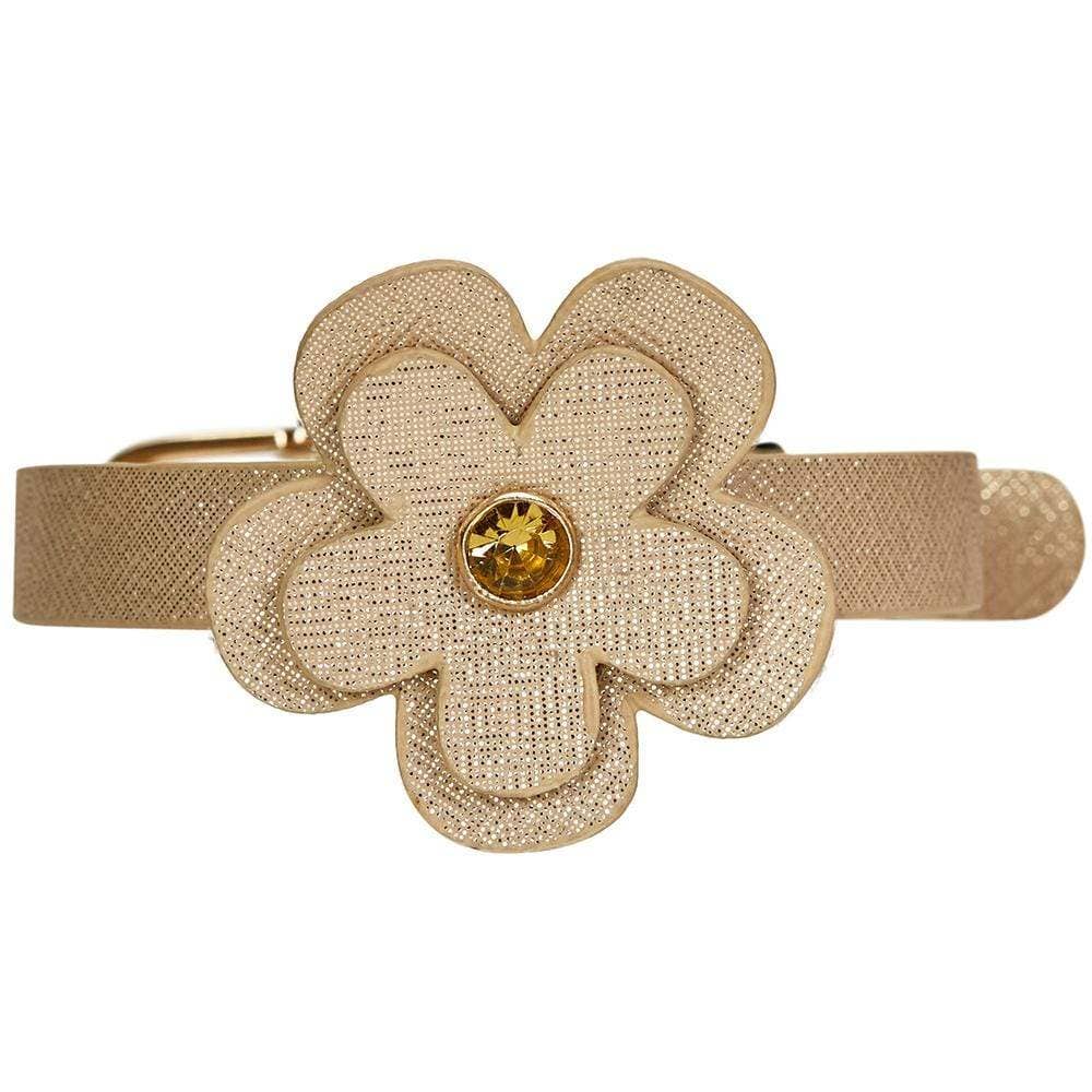 Gold Leather Cat Collar