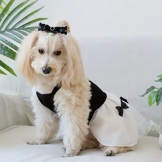 Black Bow Dress