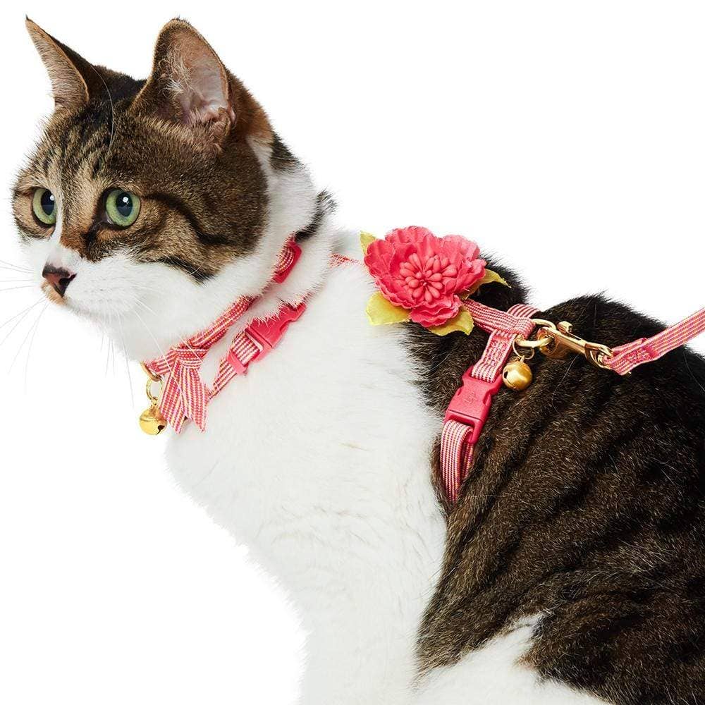 Cat Adventure Leash & Harness Set