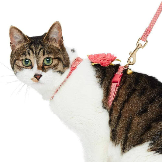 Cat Adventure Leash & Harness Set